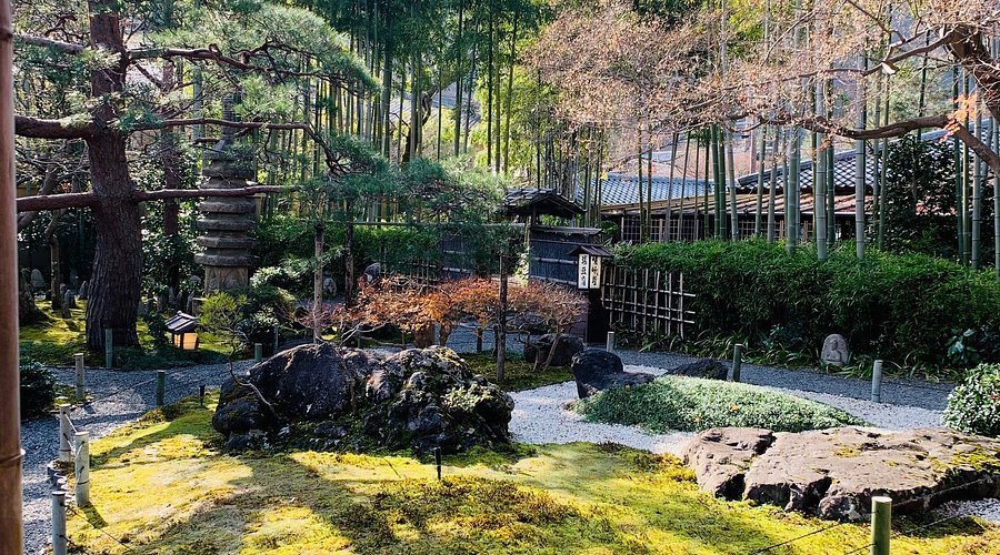 🍲 유도후 사가노(유도후 사가노) 이미지 1